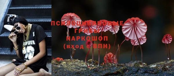 эйфоретик Вязьма